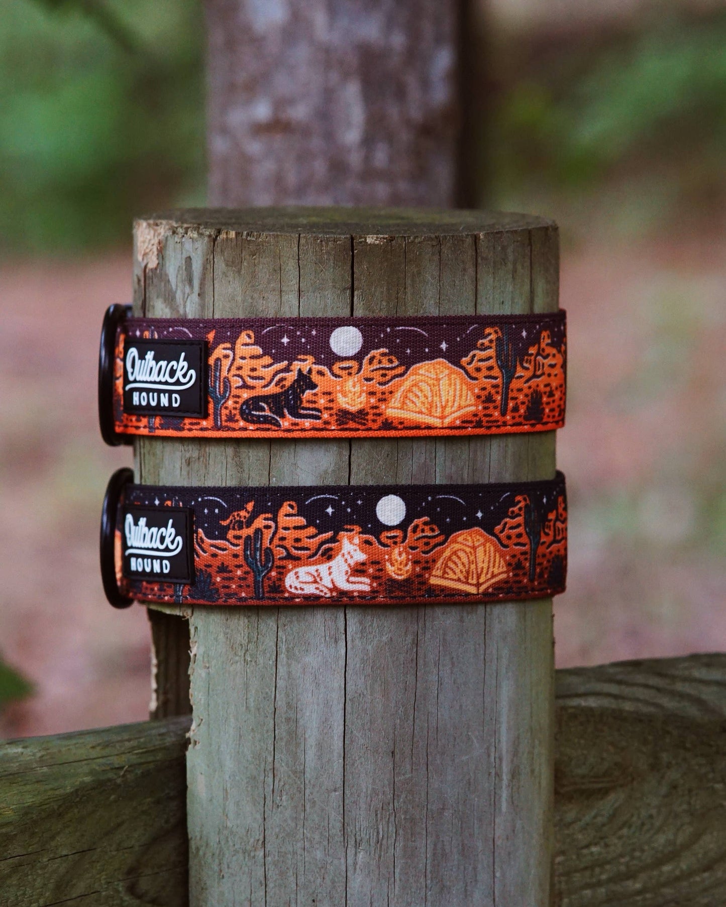 Desert Camp Out Dog Collar - Black