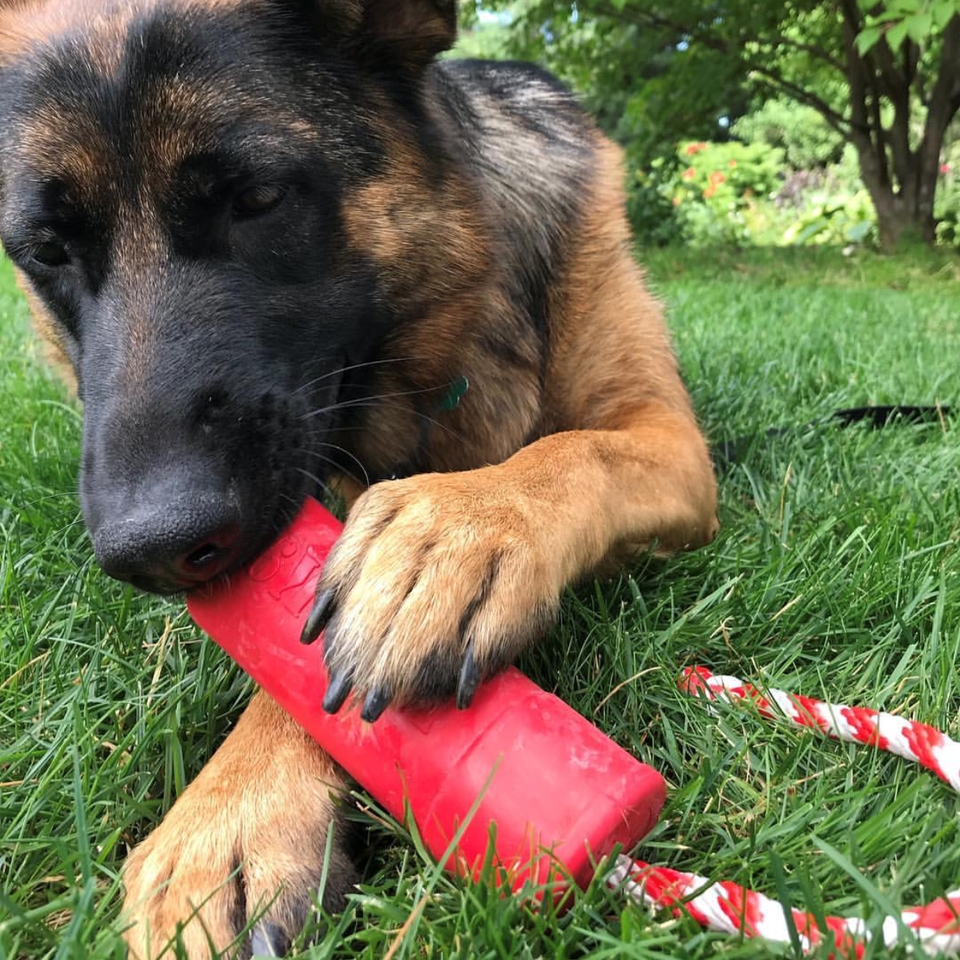 USA-K9 Firecracker Training Dummy -Red