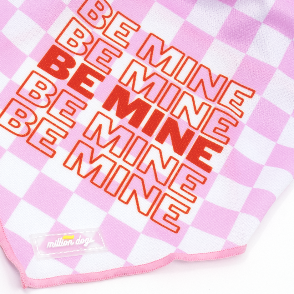 Dog Bandana - Be Mine