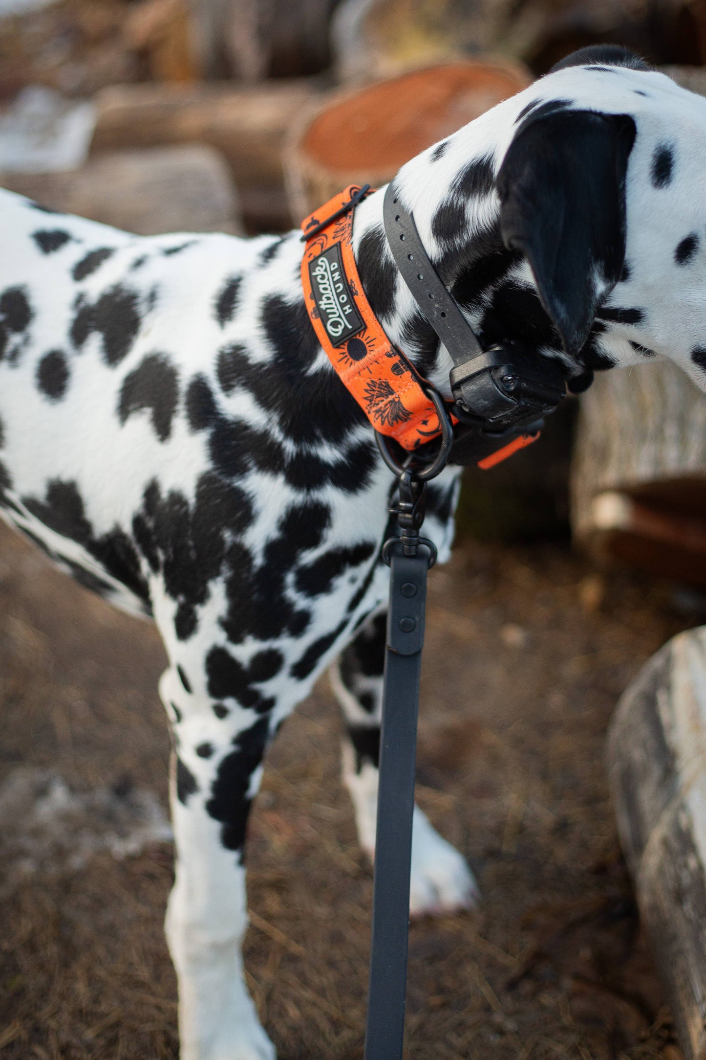 Orange Agave Dog Collar