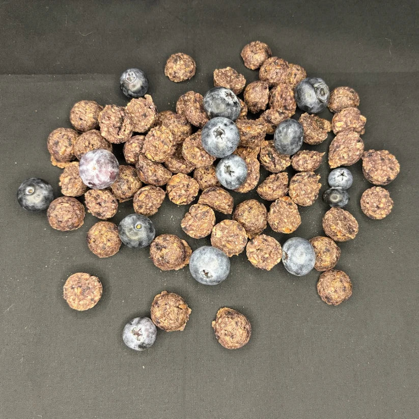 Raynee Day Treats- Mini Blueberry Crunchies