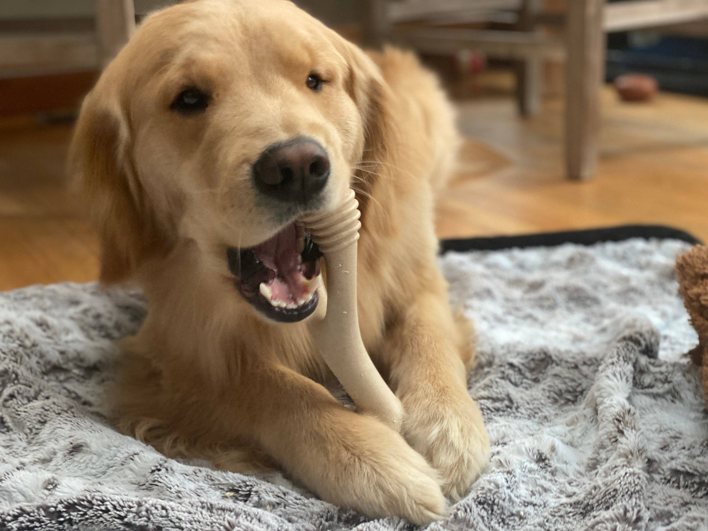 BetterBone SOFT