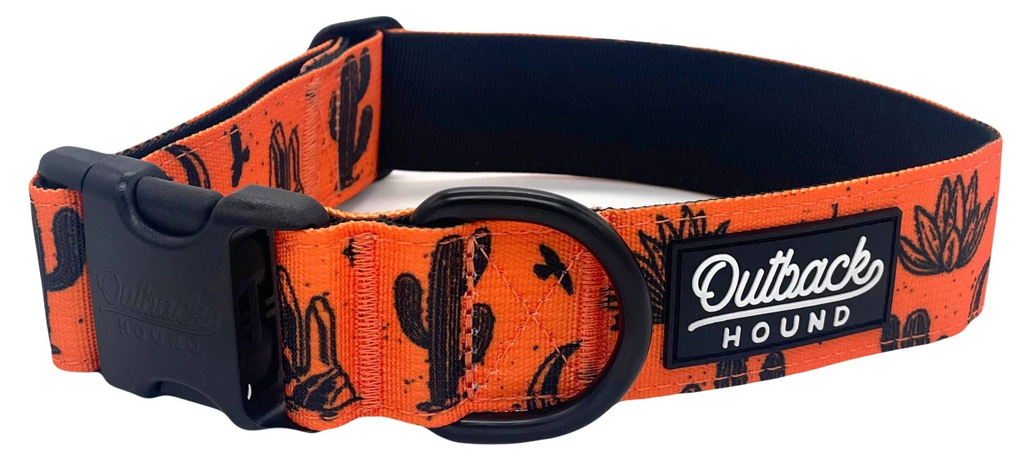 Orange Agave Dog Collar