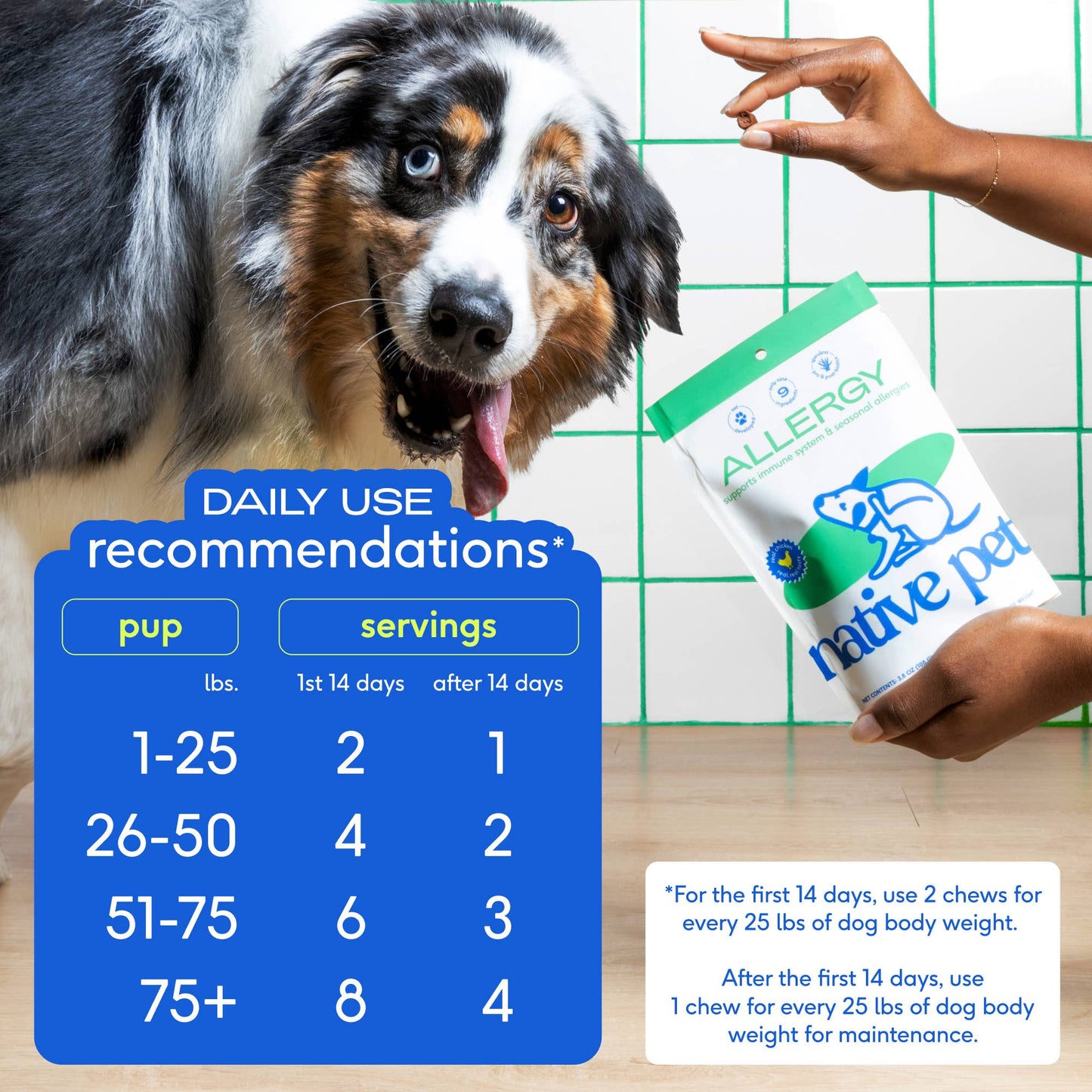 Native Pet Allergy & Immune Chews