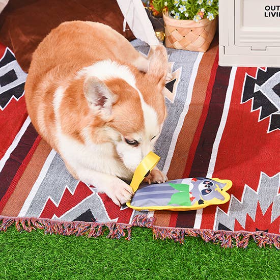 Raccoon Buddies | Raccoon Tugga - Plush Toy