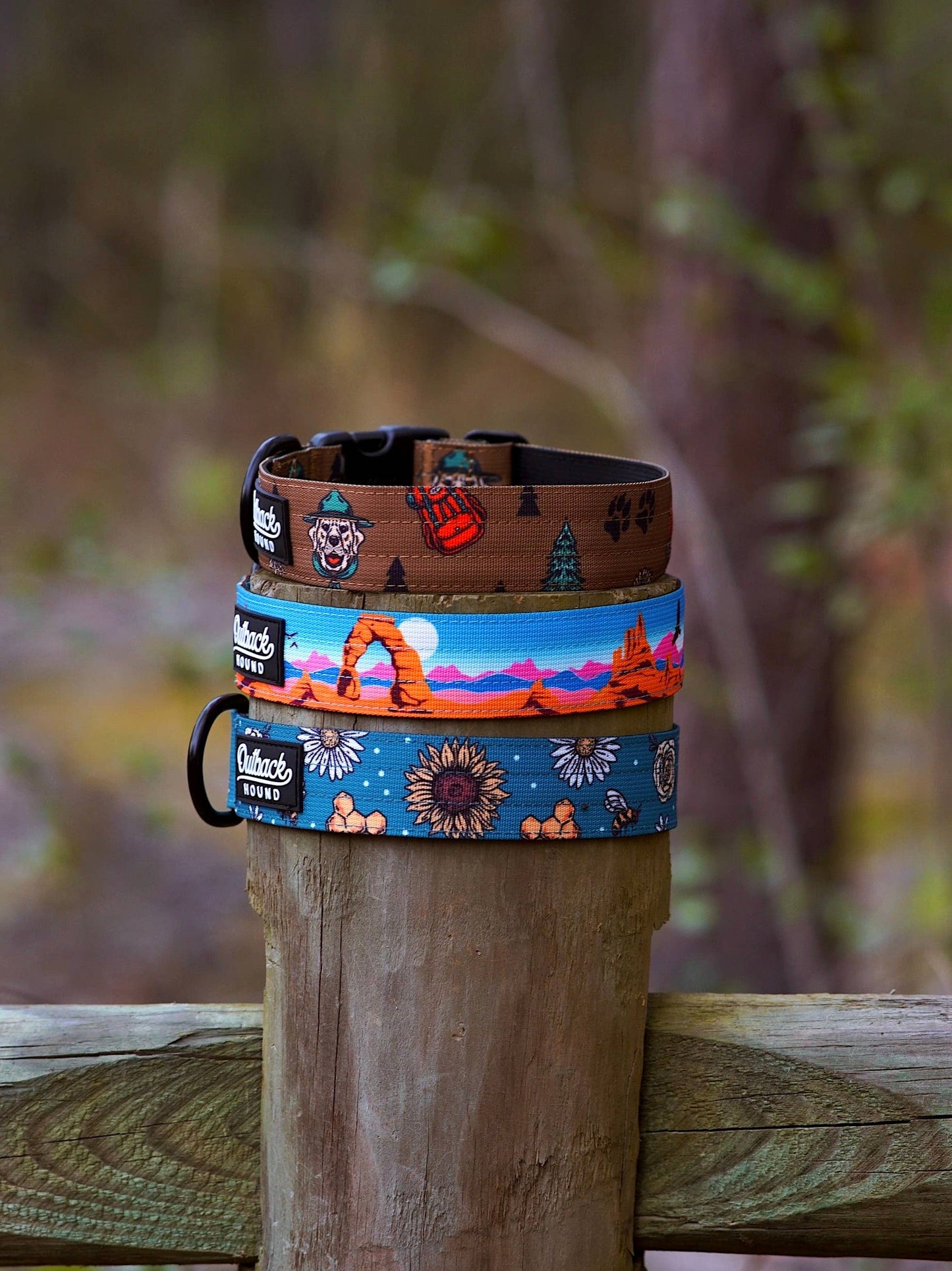 Bees Knees Teal Dog Collar: Small