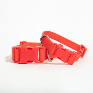 Springer Red Waterproof Dog Collar