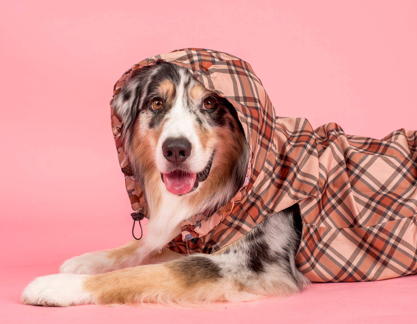 Winter Pooches: Raincoat