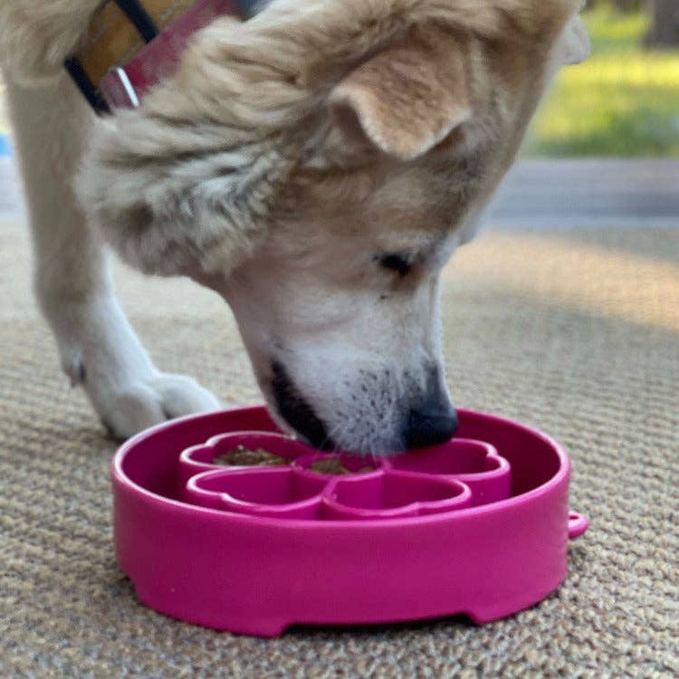 Flower Slow Feeder Bowl for Dogs: Flower Bowl - Pink