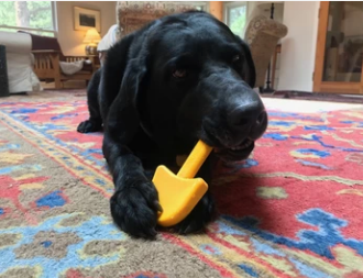 ID Nylon Shovel - Durable - Yellow