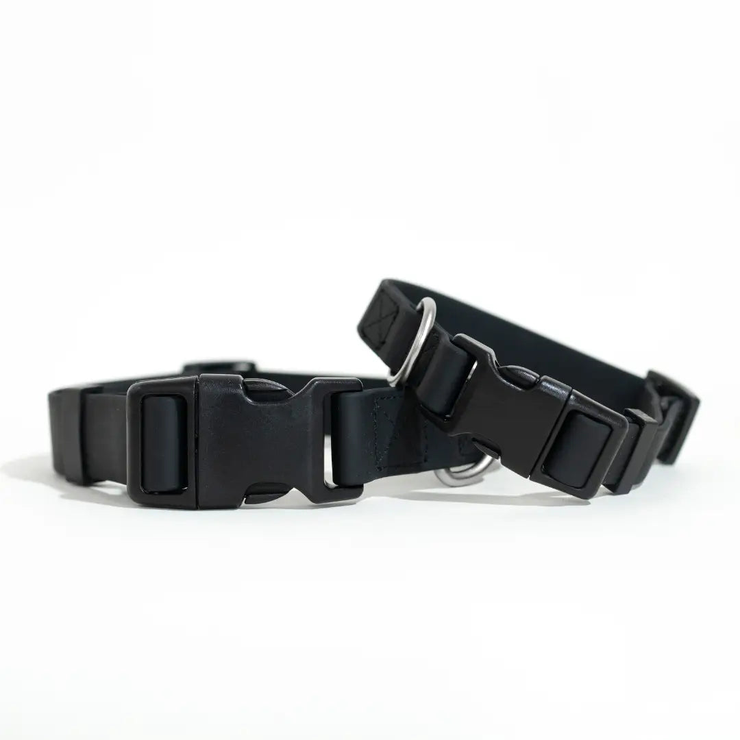Springer Black Waterproof Dog Collar
