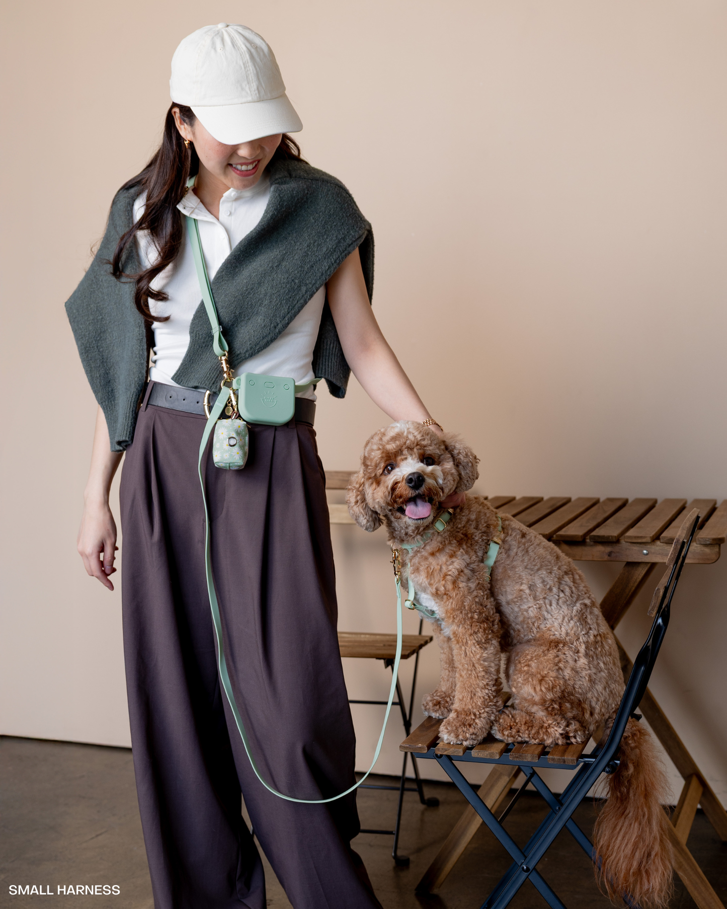 Pistachio Green 4-in-1 Convertible Hands Free Dog Leash