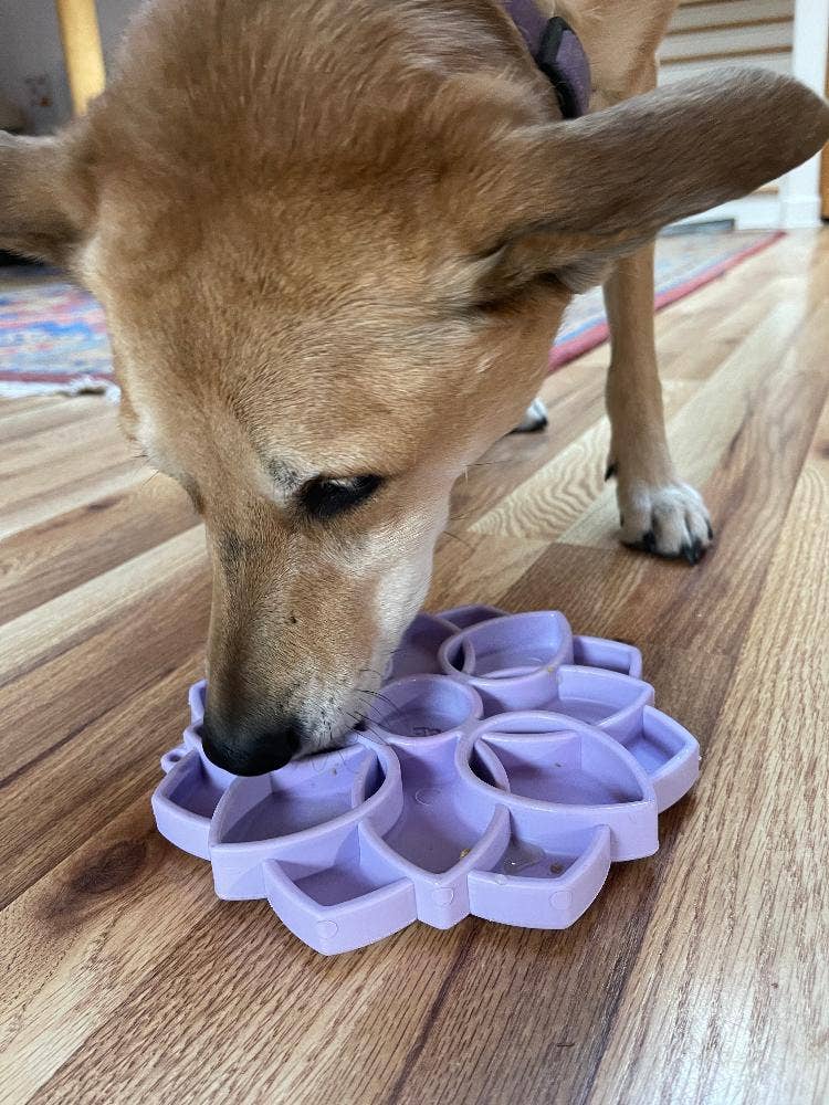Mandala "Softie" eTray Enrichment Tray for Dogs: Light Green