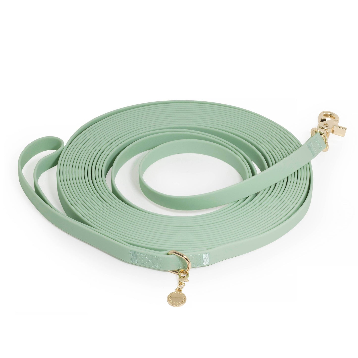 Pistachio Green Waterproof Cloud 30 Ft Dog Leash