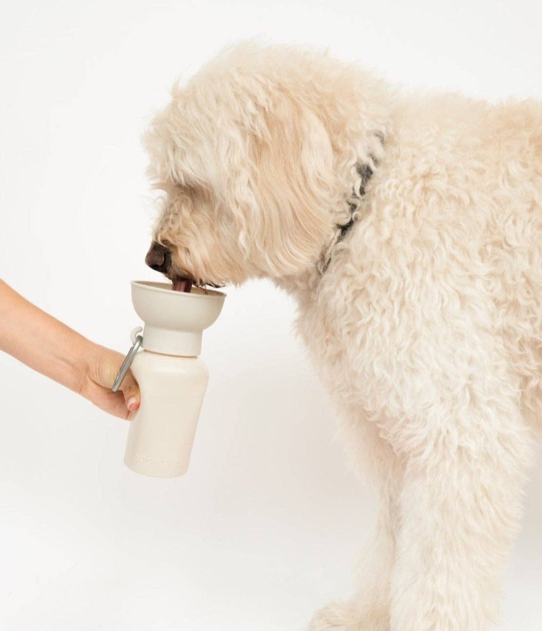 Springland Dog Travel Water Bottle Oat