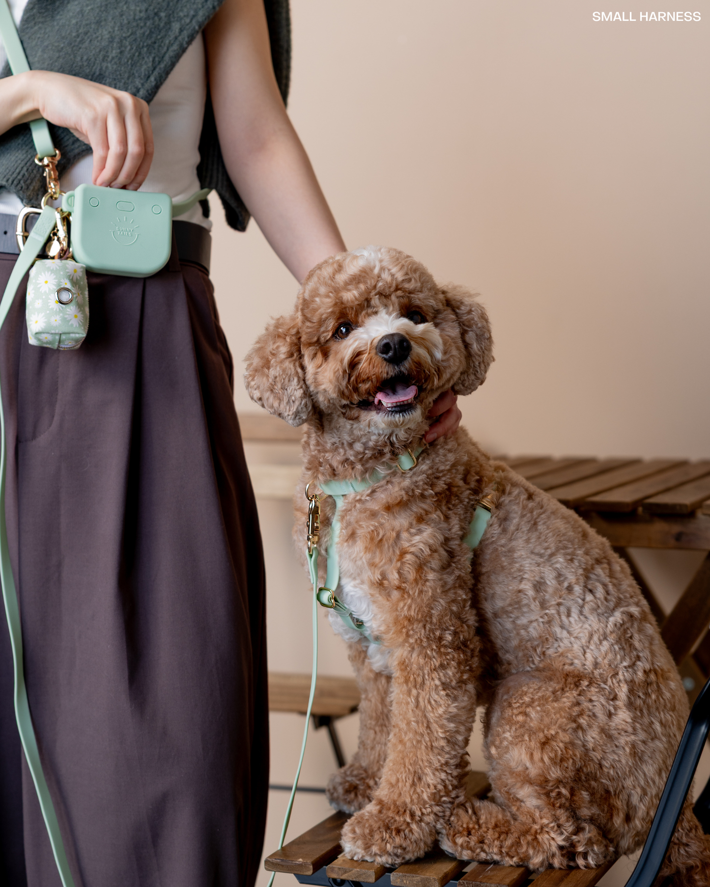 Pistachio Green 4-in-1 Convertible Hands Free Dog Leash