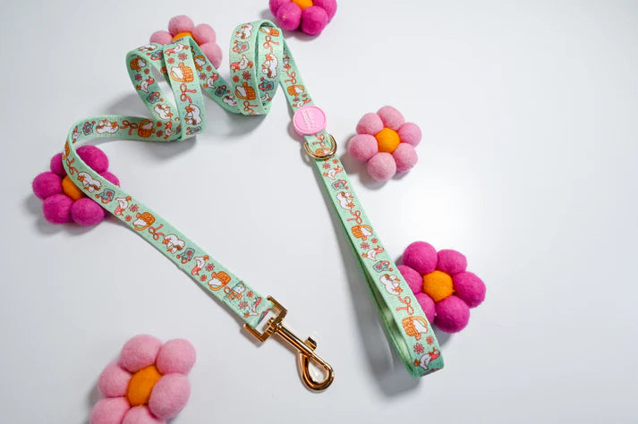 Fabric Leash- Silliest Goose On The Loose