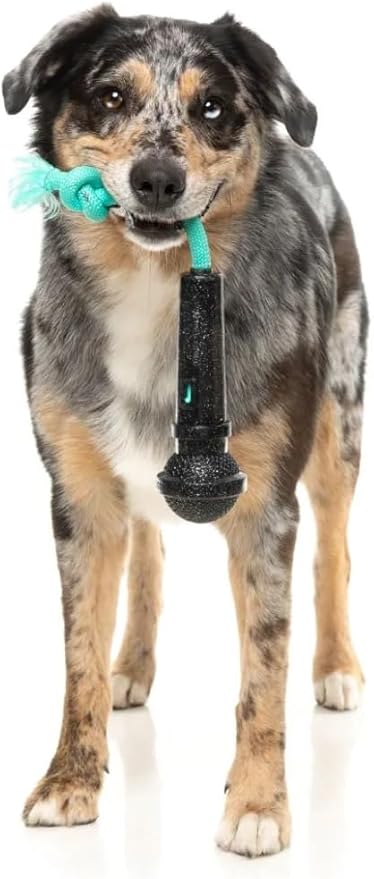 Mic Drop Dog Toy