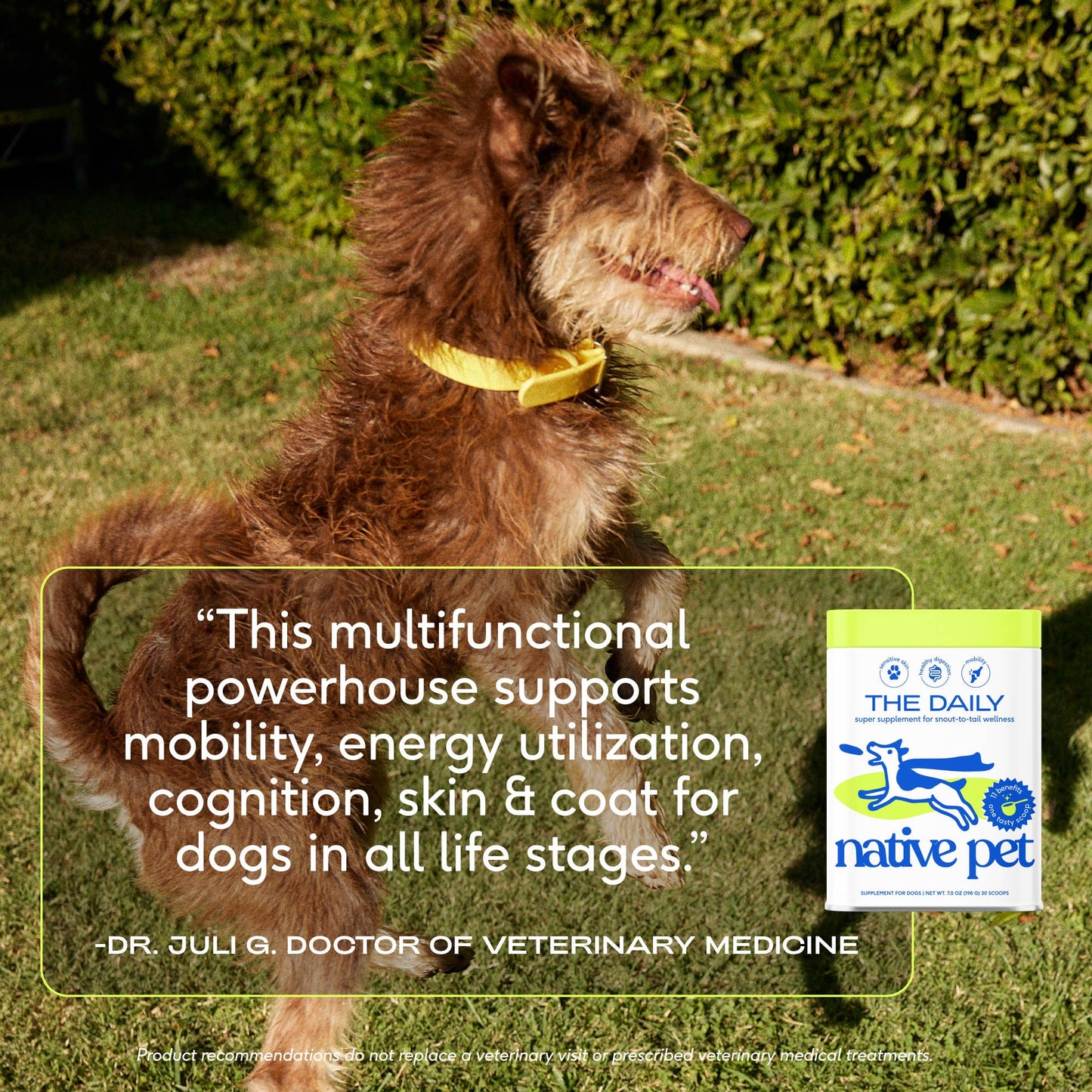 Native Pet The Daily Powder Supplement, 11-in-1 Multivitamins for Dogs