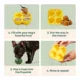 Woof Pupsicle Treat Tray