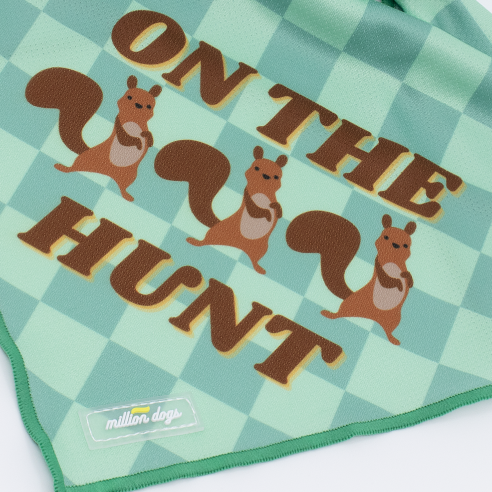 Dog Bandana - On the hunt: Small