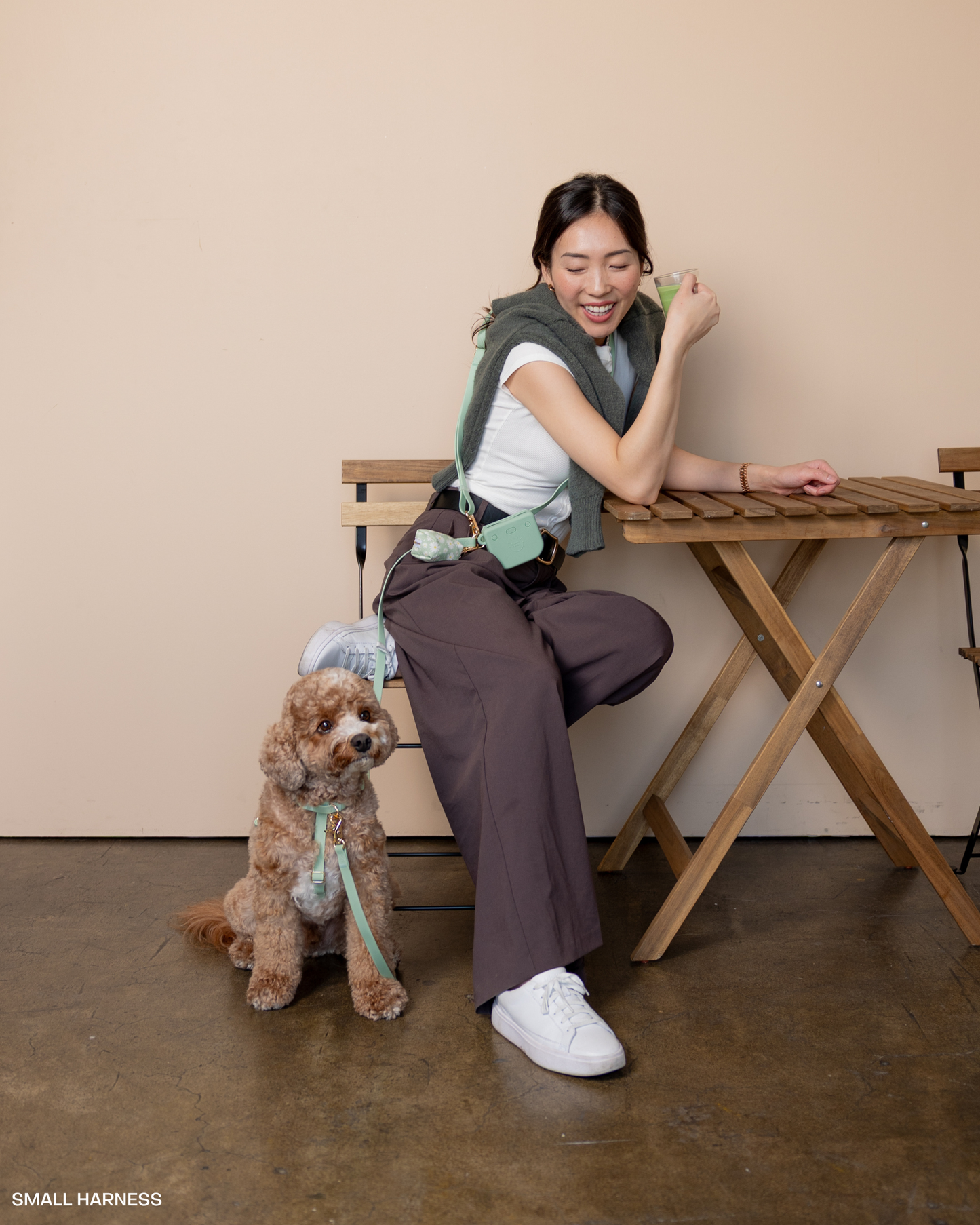 Pistachio Green 4-in-1 Convertible Hands Free Dog Leash