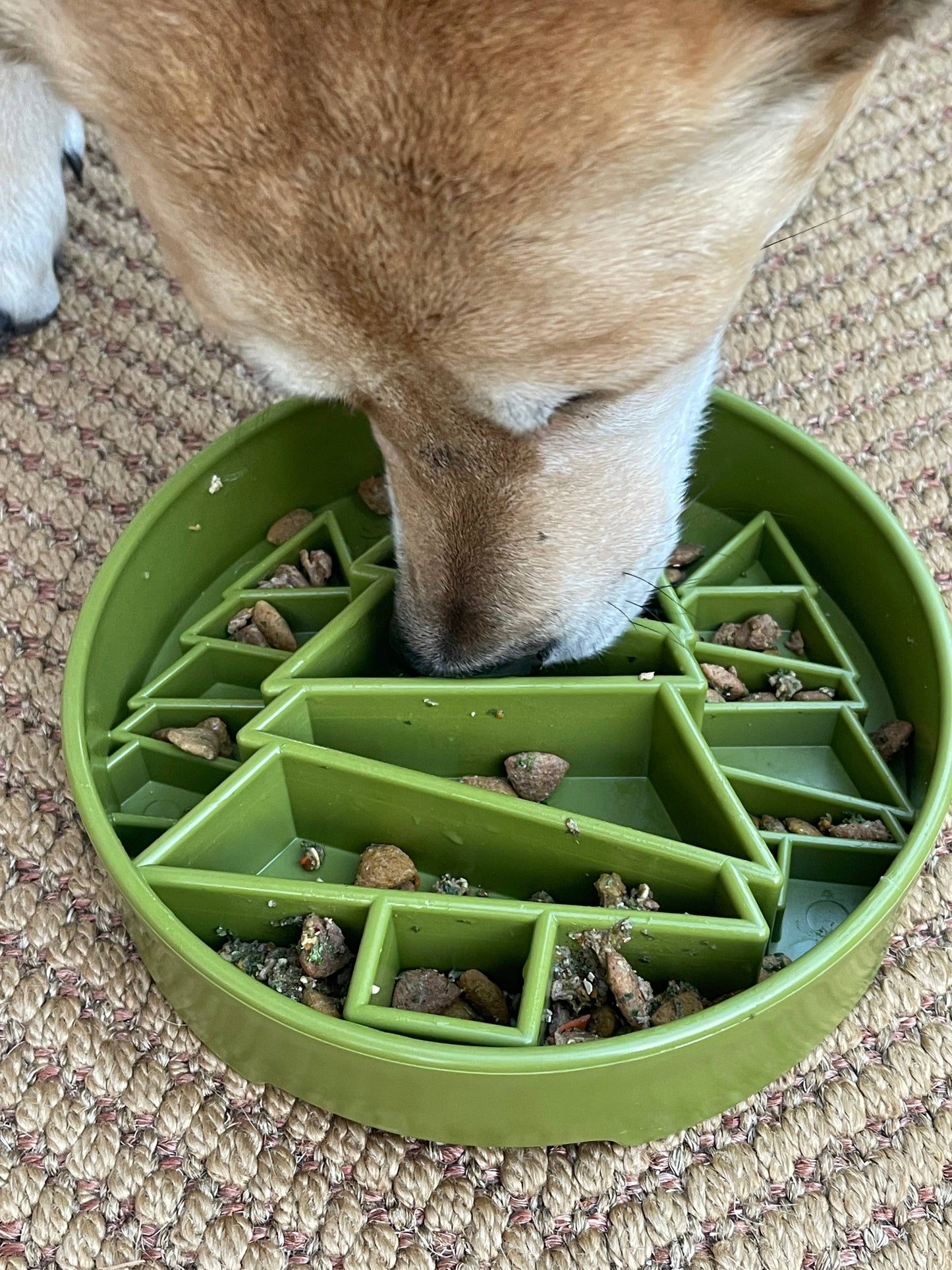Pine Tree Enrichment Slow Feeder Bowl for Dogs: Trees ebowl - Green