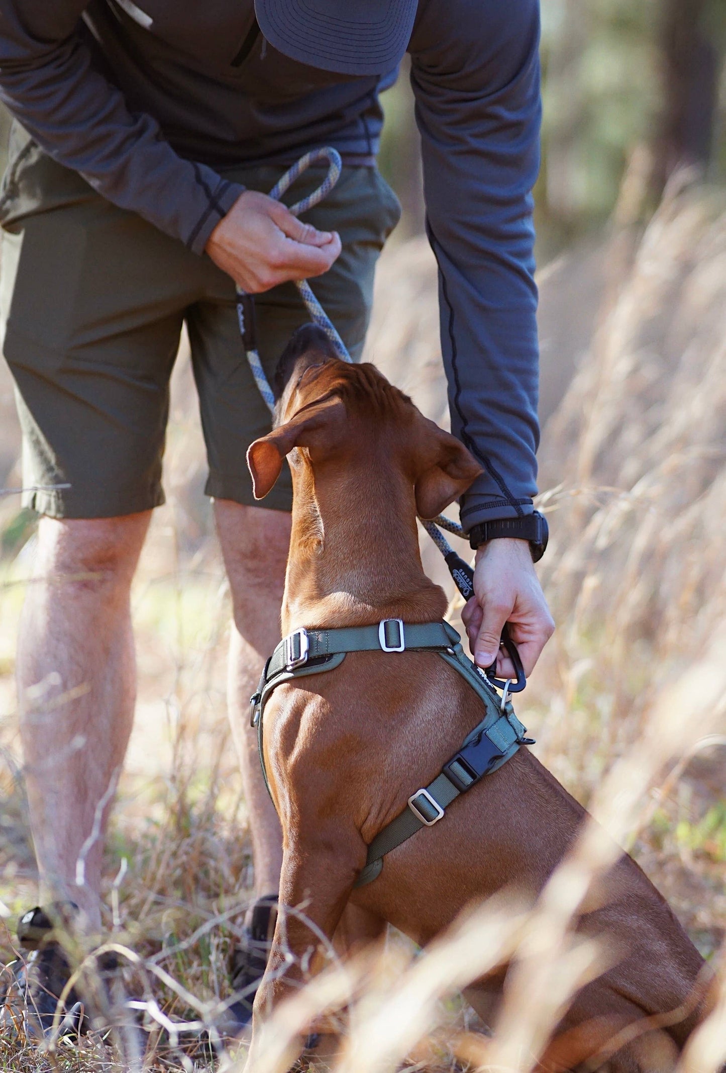 Outback Hound Lite Comfort Harness - Ranger Green