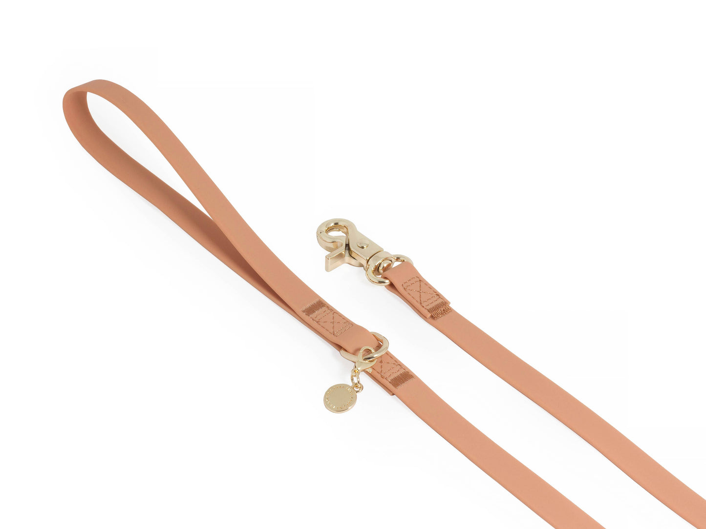 Chai Brown Waterproof Cloud 30 Ft Dog Leash