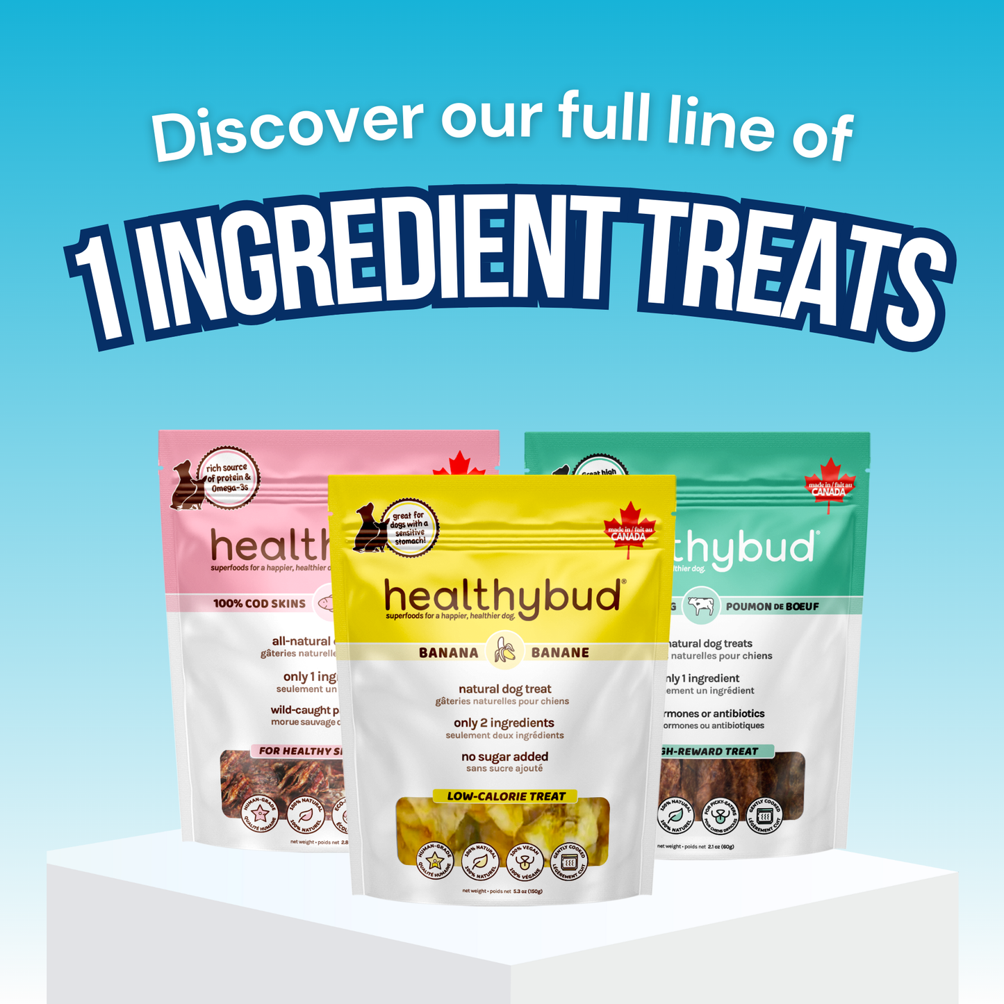 Healthybud's Single-Ingredient Banana Chip Dog Treats