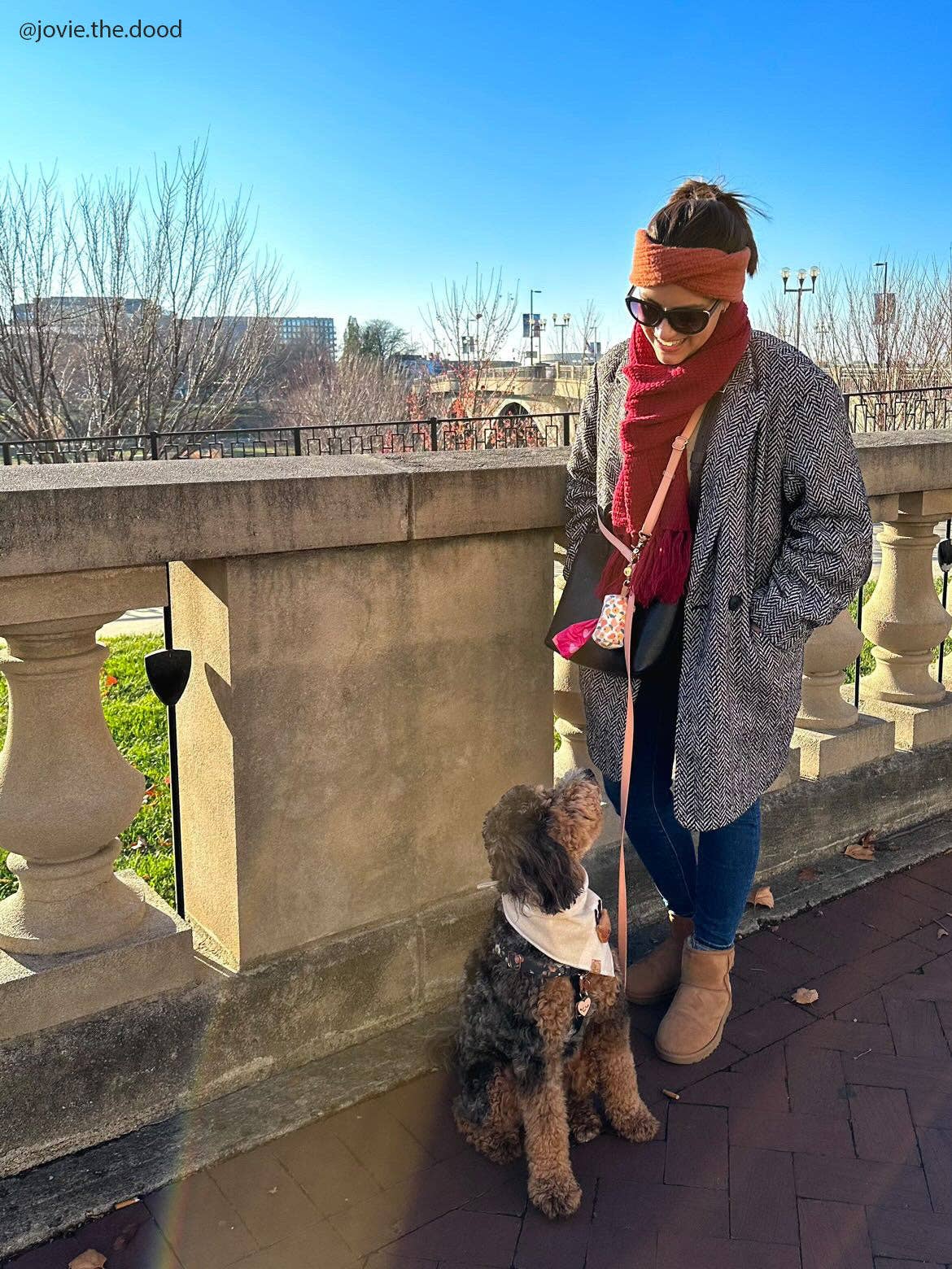 Pistachio Green 4-in-1 Convertible Hands Free Dog Leash