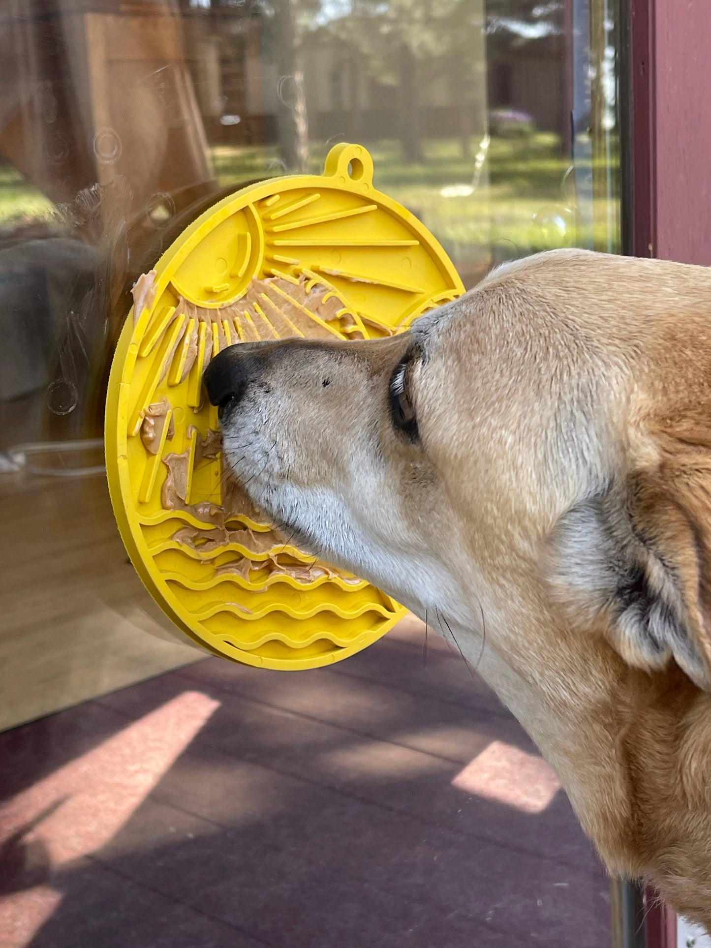 Sun n' Sea Lick Mat With Suction Cups: Yellow