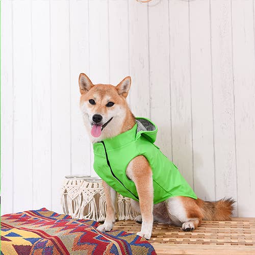 Green Raincoat