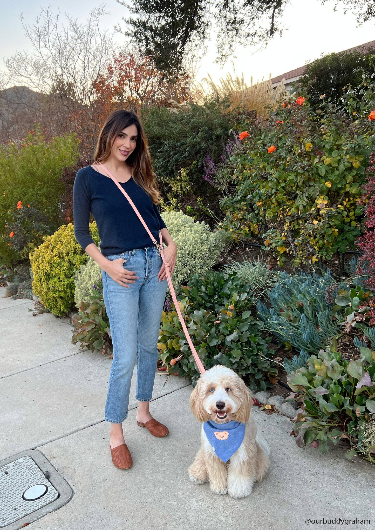 Lavender Haze 4-in-1 Convertible Hands Free Cloud Dog Leash