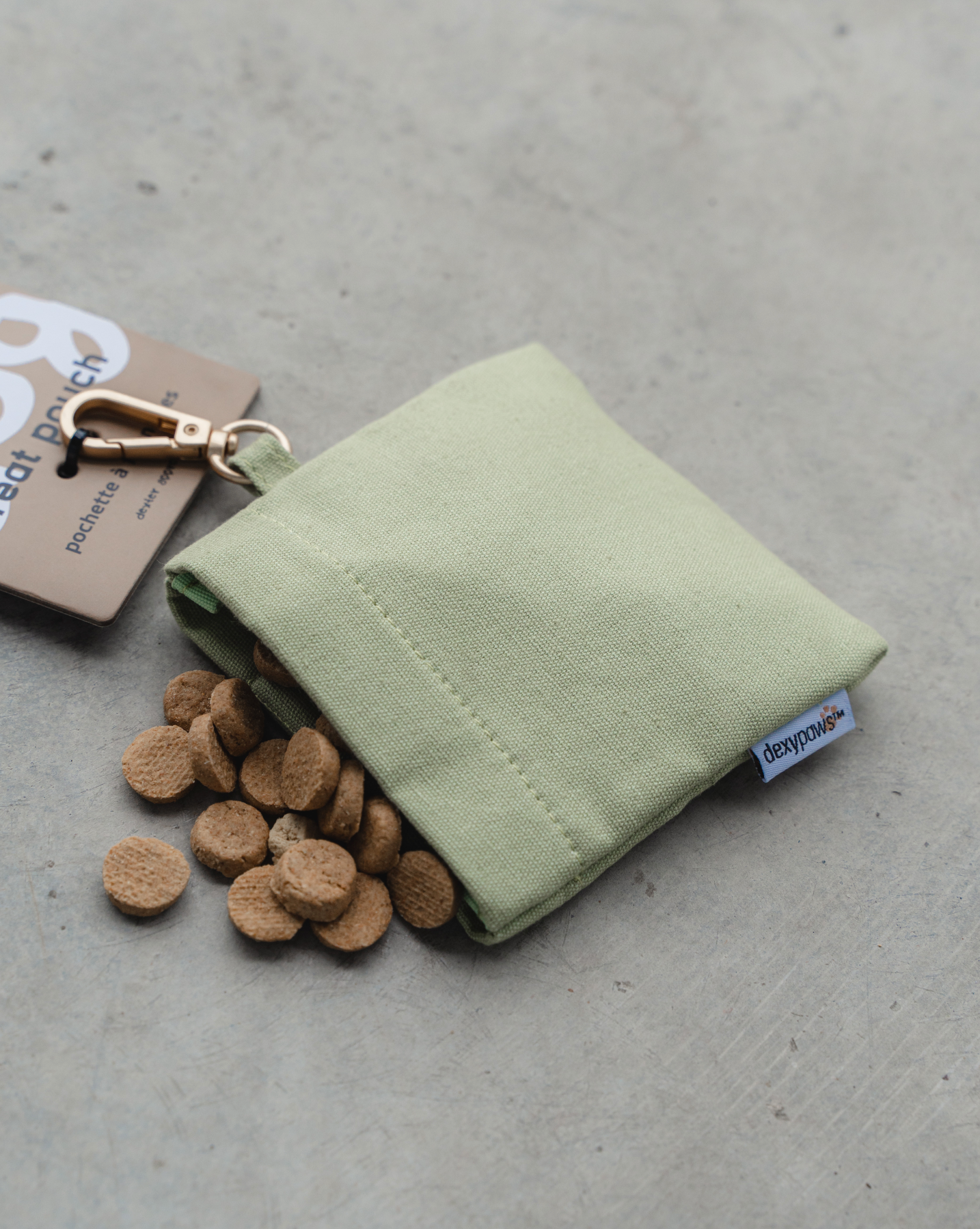 Treat Pouch- Green