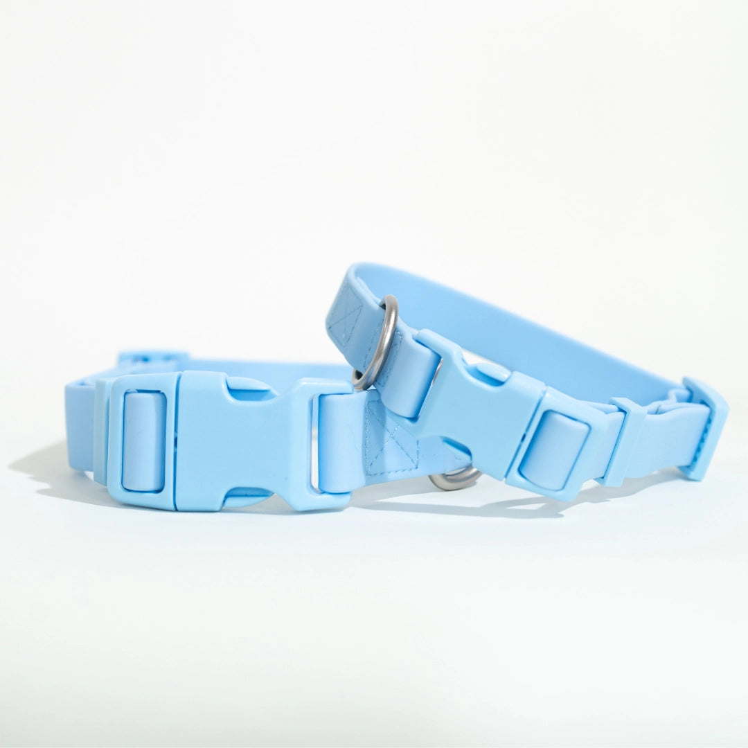 Springer Light Blue Waterproof Dog Collar