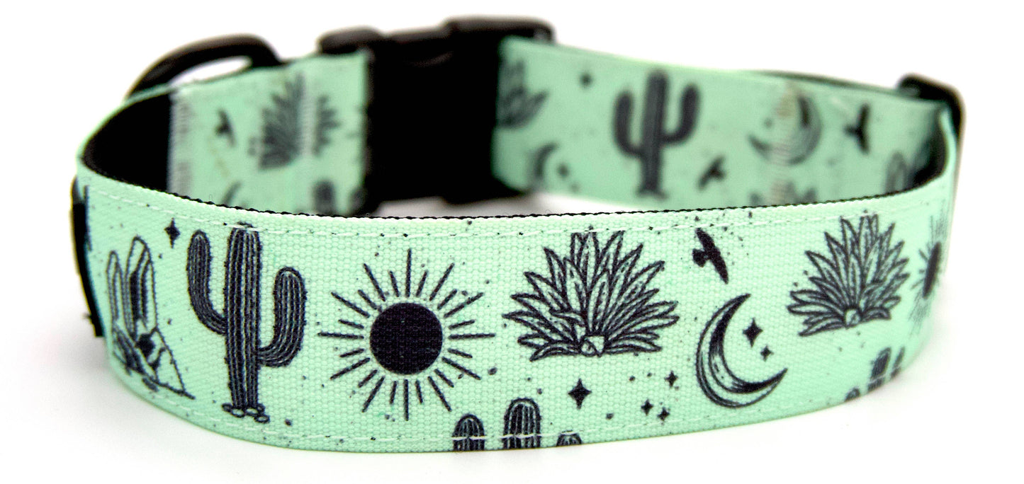 Agave Dog Collar