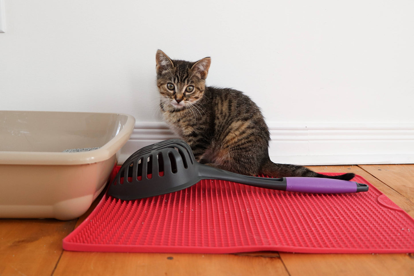 Messy Mutts Litter Scoop with Long Handle