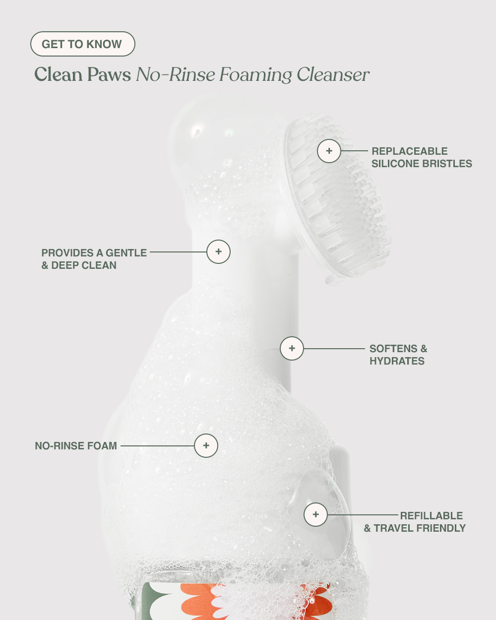 Clean Paws No-Rinse Foaming Cleanser