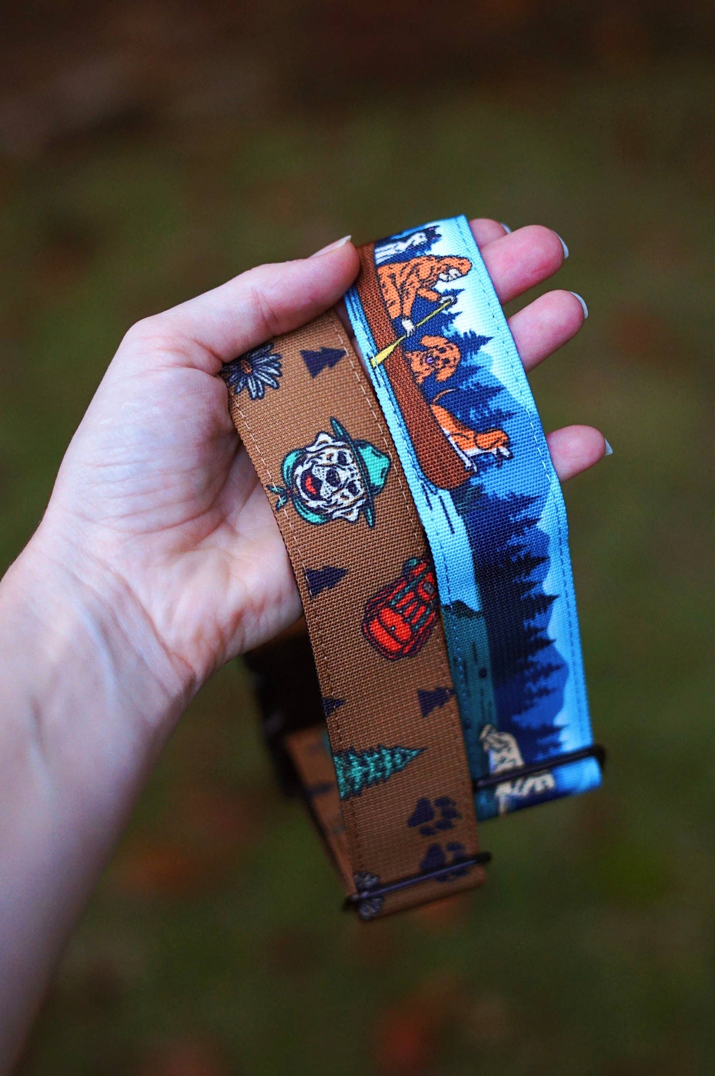 Bigfoot and Friends Dog Collar