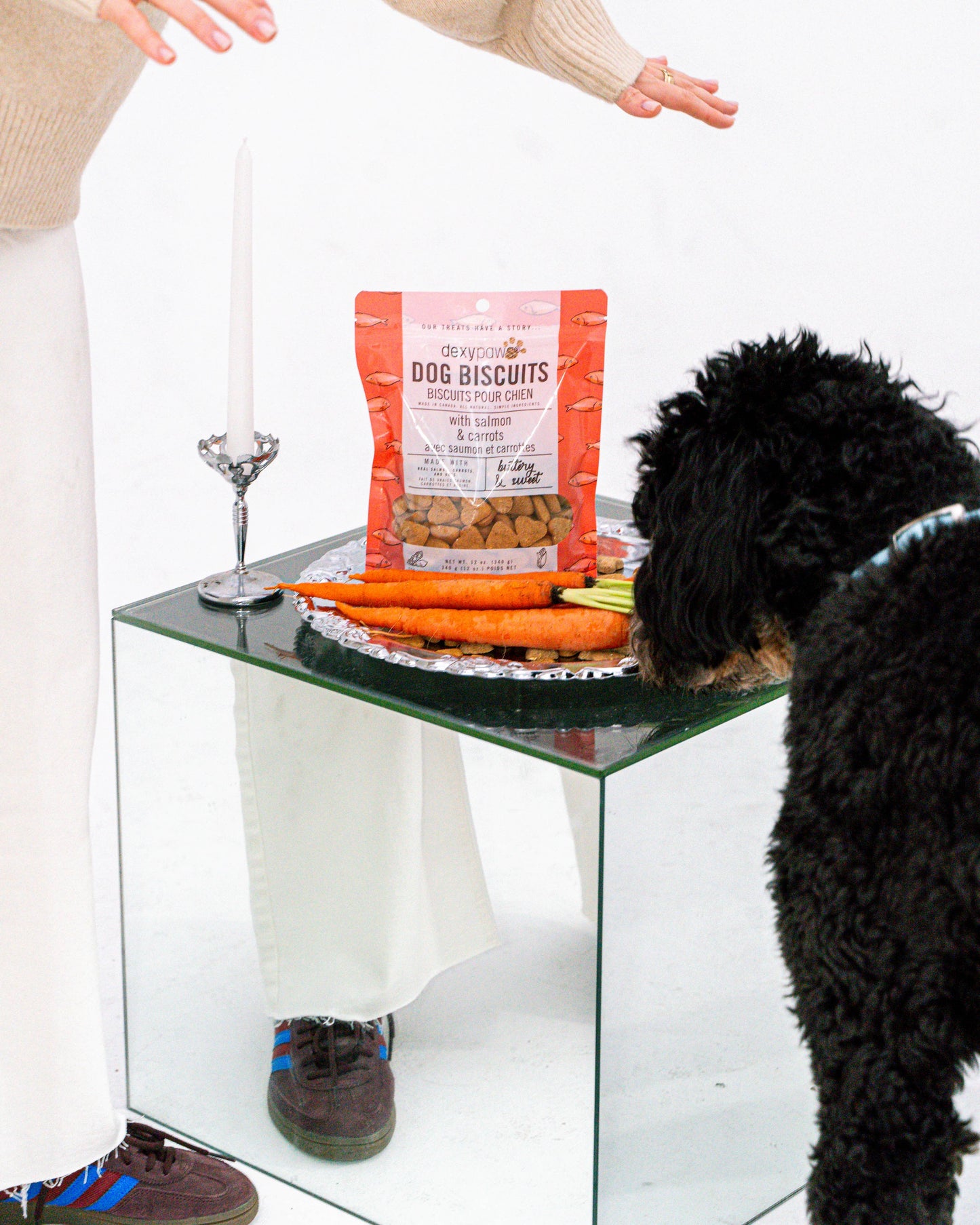 Salmon Dog Treats