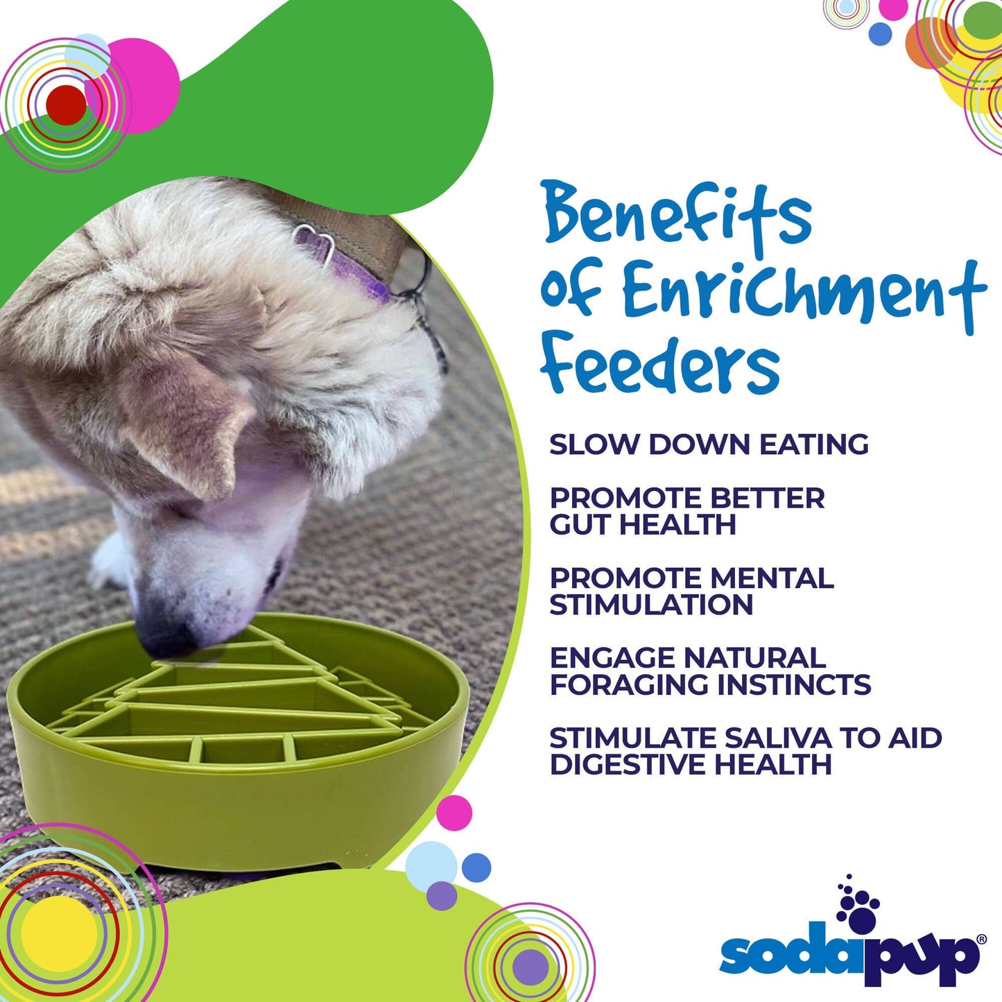 Pine Tree Enrichment Slow Feeder Bowl for Dogs: Trees ebowl - Green