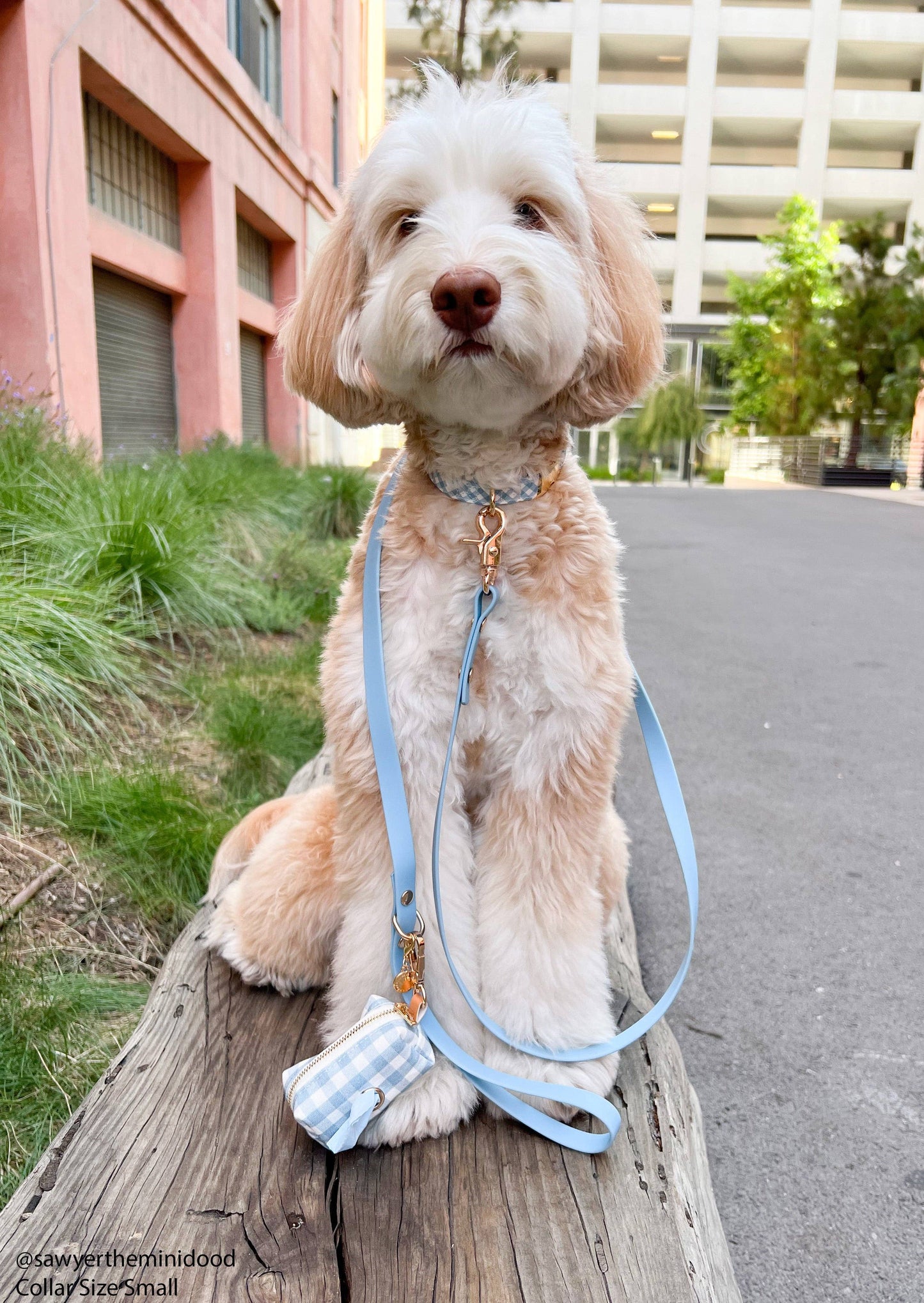 Dog Leash Waterproof - Malibu Blue |5 FT