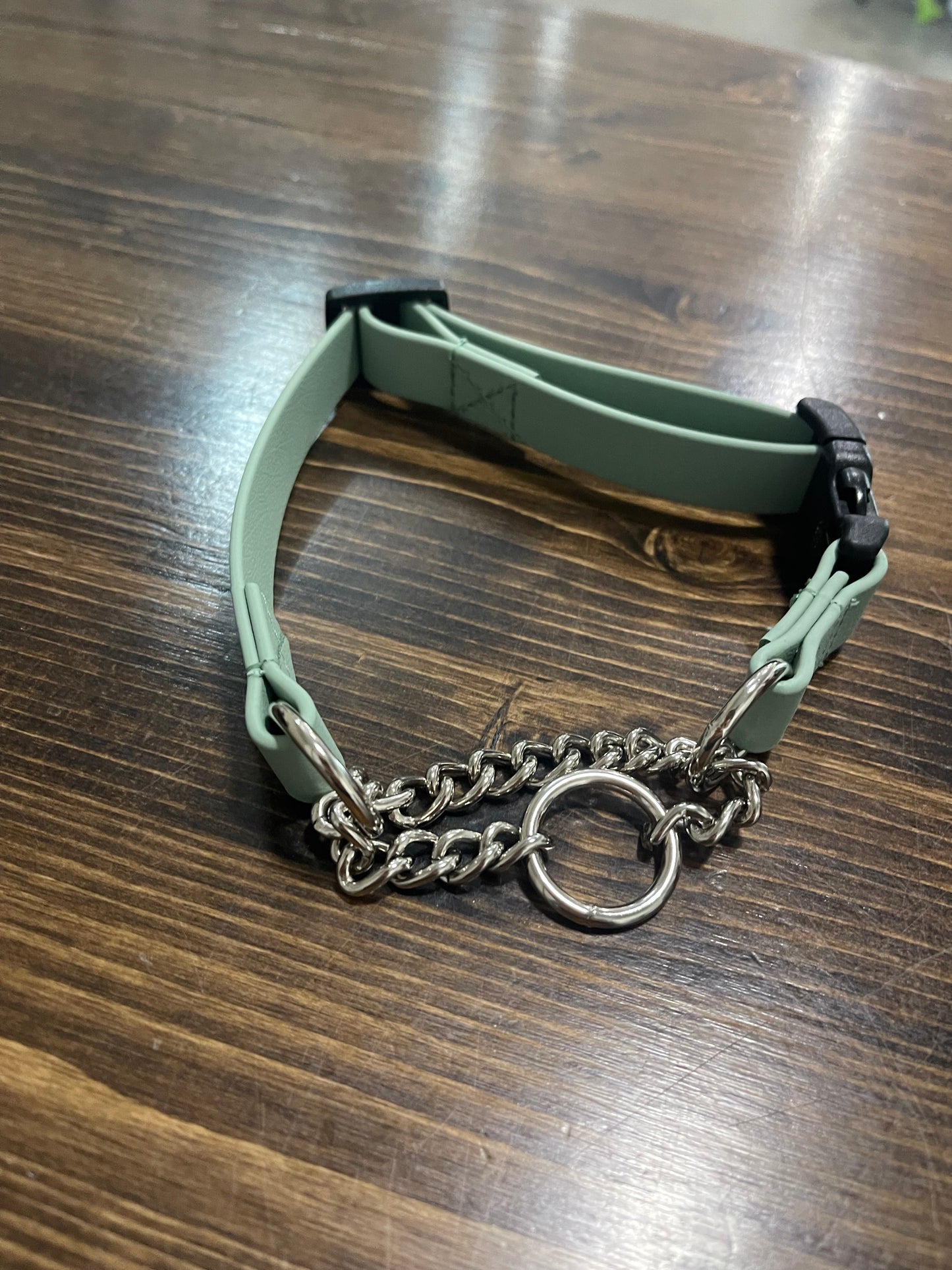 Martingale Biothane Dog Collar: Sage Green