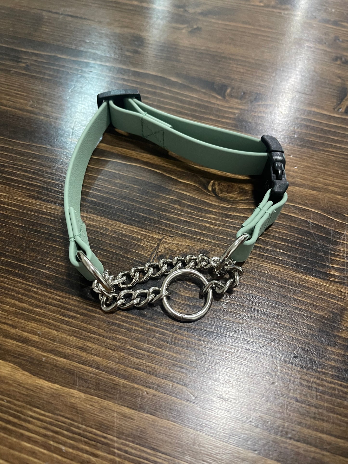 Martingale Biothane Dog Collar: Sage Green