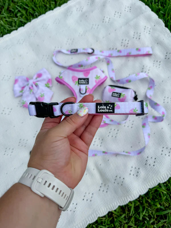 Strawberry Shortpup Dog Collar