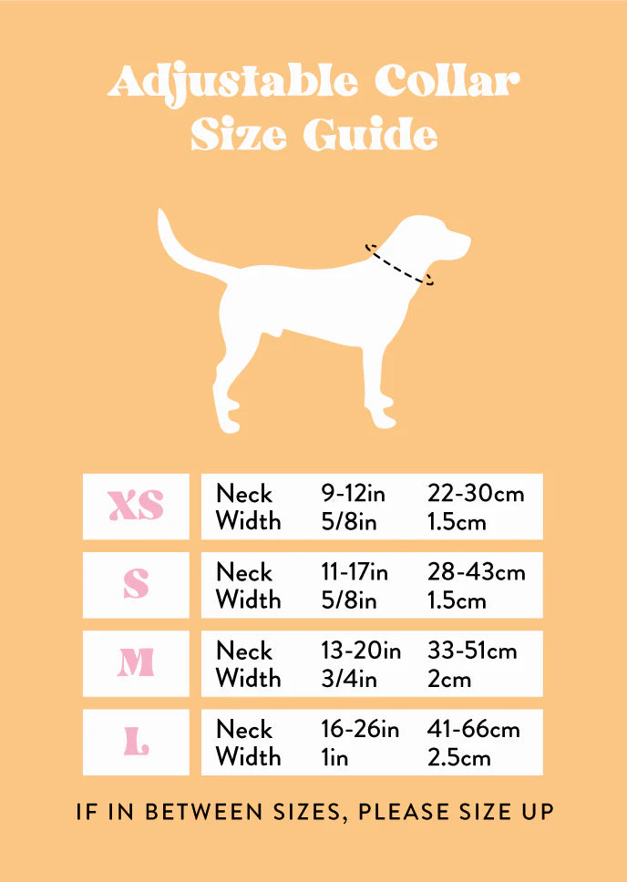 Dino Mite! Dog Collar