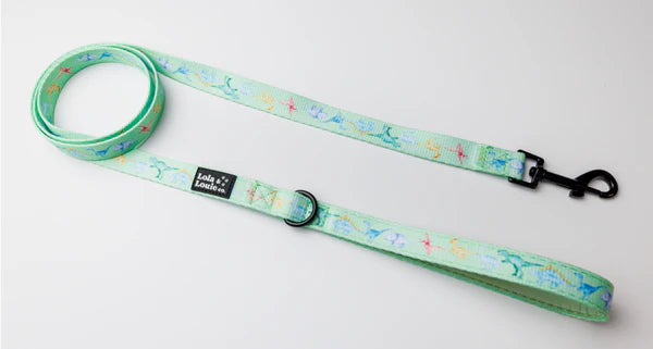 Fabric Dog Leash- Dino Mite!