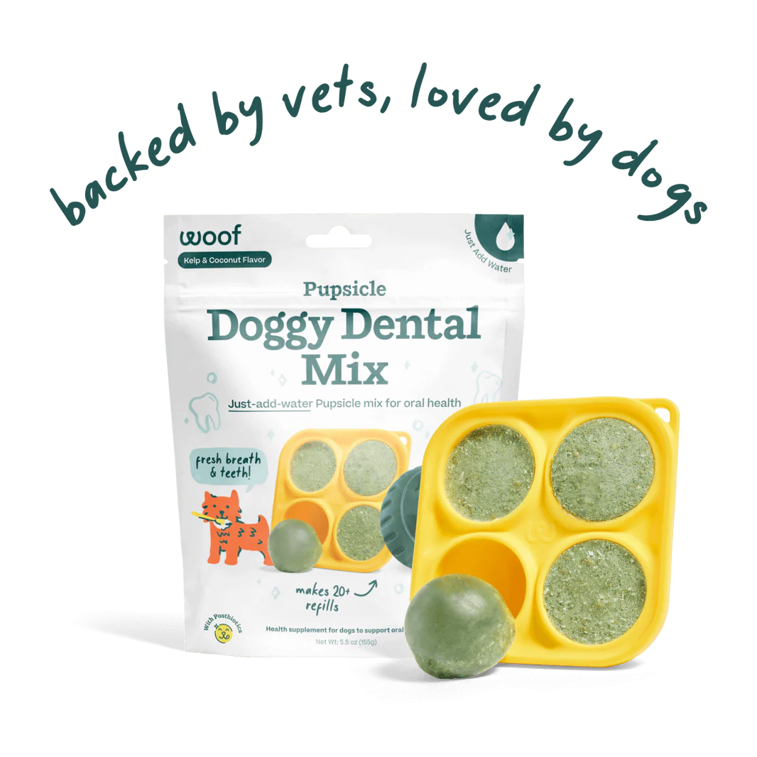 Woof Pupsicle Doggy Dental Mix
