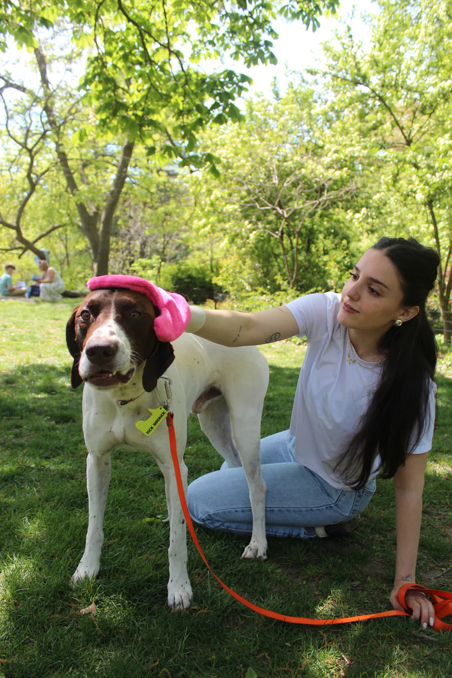 Tick Mitt: Pink